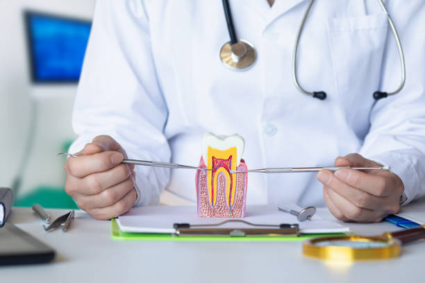 Best 24-Hour Emergency Dental Care in North Middletown, NJ